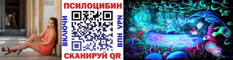 Псилоцибиновые грибы Psilocybe  hydra как зайти  Мамадыш 